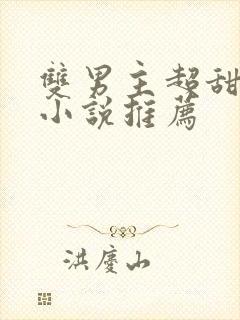 双男主超甜宠文小说推荐