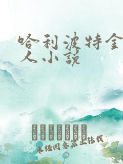 哈利波特金妮同人小说