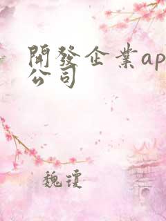 开发企业app公司