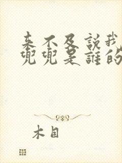 来不及说我爱你兜兜是谁的孩子