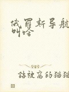 俄罗斯导航卫星叫啥