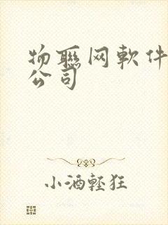 物联网软件开发公司