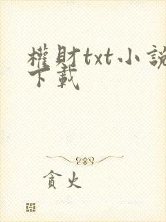 权财txt小说下载