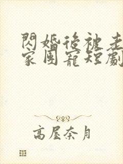 闪婚后被老公全家团宠短剧热播