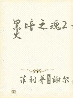 黑暗之魂2 添火