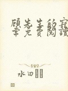 顾先生的宠妻日常免费阅读