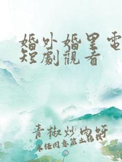 婚外婚里电视剧短剧观看