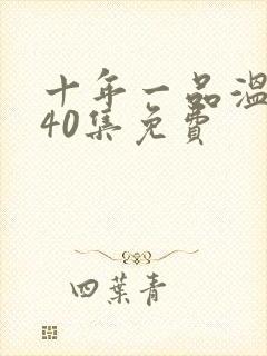 十年一品温如言40集免费