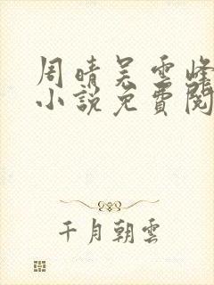 周晴吴云峰李磊小说免费阅读