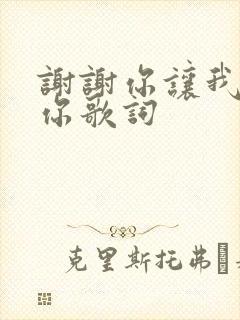 谢谢你让我遇见你歌词