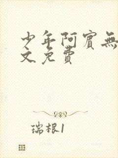 少年阿宾无删全文免费