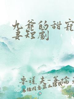 九爷的甜宠小傻妻短剧