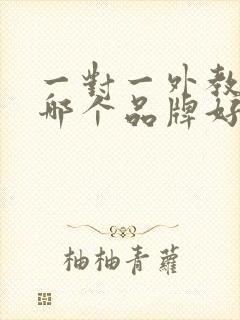 一对一外教口语哪个品牌好