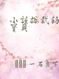 小说总裁的私有宝贝