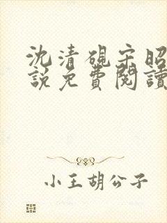 沈清砚宋昭汐小说免费阅读最新章节