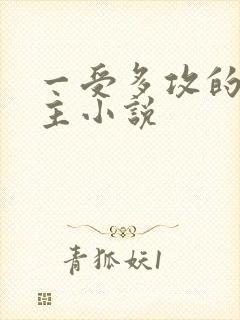 一受多攻的双男主小说