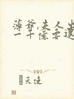 薄爷,夫人出价一千亿要退婚完本txt下载