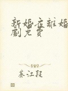 新婚夜离婚时短剧免费