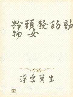 粉头发的动漫人物 女