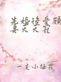 先婚后爱顾少娇妻天天宠