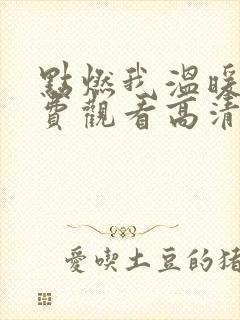 点燃我温暖你免费观看高清