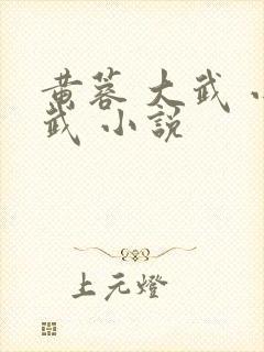 黄蓉 大武 小武 小说