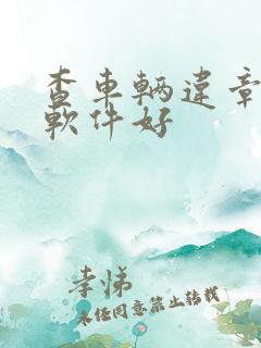 查车辆违章哪个软件好