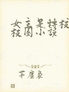 女主是转校生的校园小说