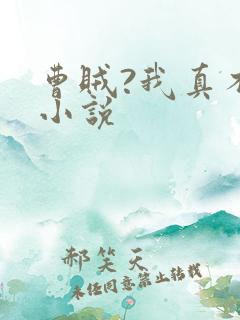 曹贼?我真不是小说