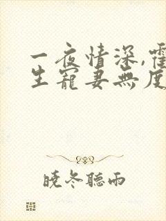 一夜情深,霍先生宠妻无度全