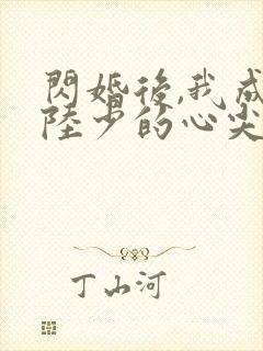 闪婚后,我成了陆少的心尖宠