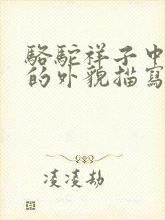 骆驼祥子中虎妞的外貌描写原文