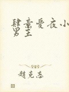 肆意爱夜小说双男主