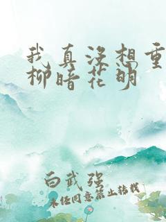 我真没想重生啊柳暗花明