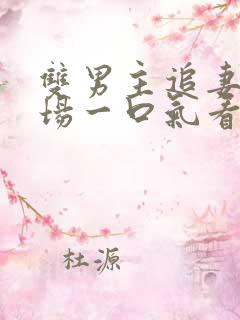 双男主追妻火葬场一口气看完