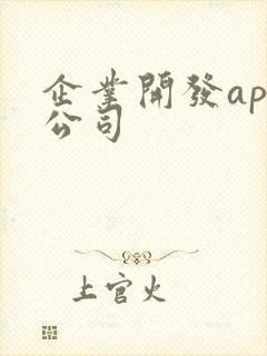 企业开发app公司