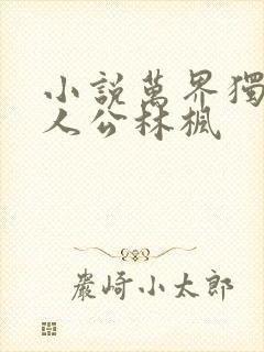 小说万界独尊主人公林枫