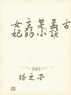 女主是孟古青静妃的小说