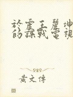 于震王丽坤主演的谍战电视剧大全