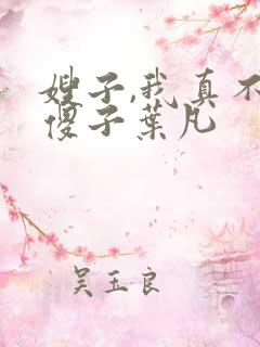 嫂子,我真不是傻子叶凡