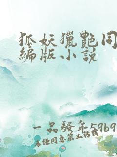 狐妖猎艳同人改编版小说