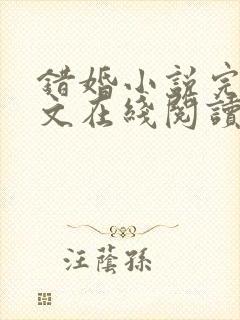 错婚小说完结全文在线阅读