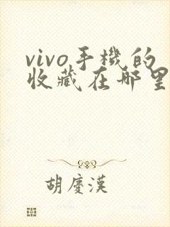 vivo手机的收藏在哪里找到