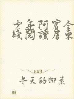 少年阿宾全文在线阅读房东太太