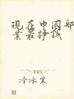 现在中国哪个行业最挣钱