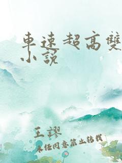 车速超高双男主小说