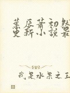 叶辰萧初然最快更新小说最新章节