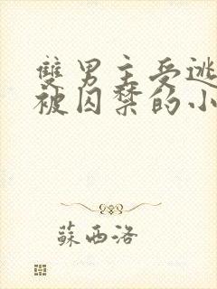 双男主受逃跑后被囚禁的小说推荐