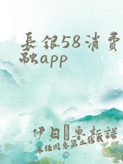长银58消费金融app