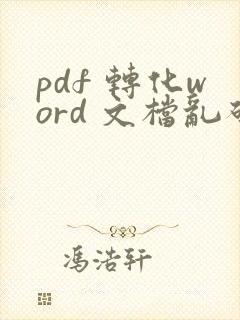 pdf 转化word 文档乱码了怎么办?